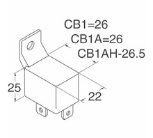 CB1AH-D-M-24V Imagine