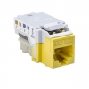 RJ45FC6-YEL