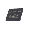 BGM11S22F256GA-V2R